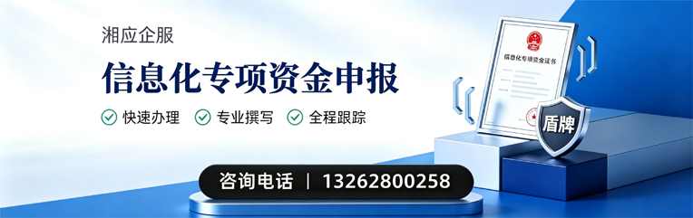 南阳信息化专项资金申报服务