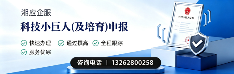 南阳科技小巨人及培育企业申报服务