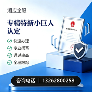 南阳专精特新小巨人申报服务