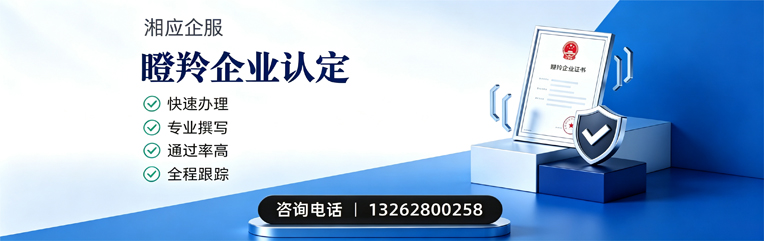 南阳瞪羚企业认定申报服务