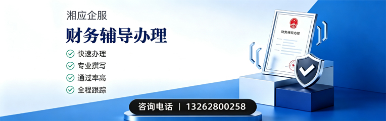 南阳财务辅导申请服务
