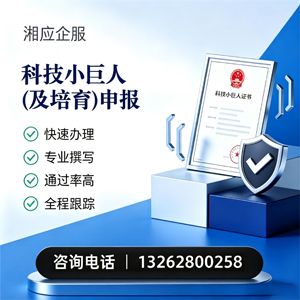南阳科技小巨人及培育企业申报服务