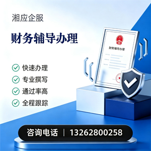 南阳财务辅导申请服务