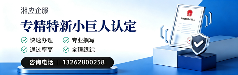 南阳专精特新小巨人申报服务